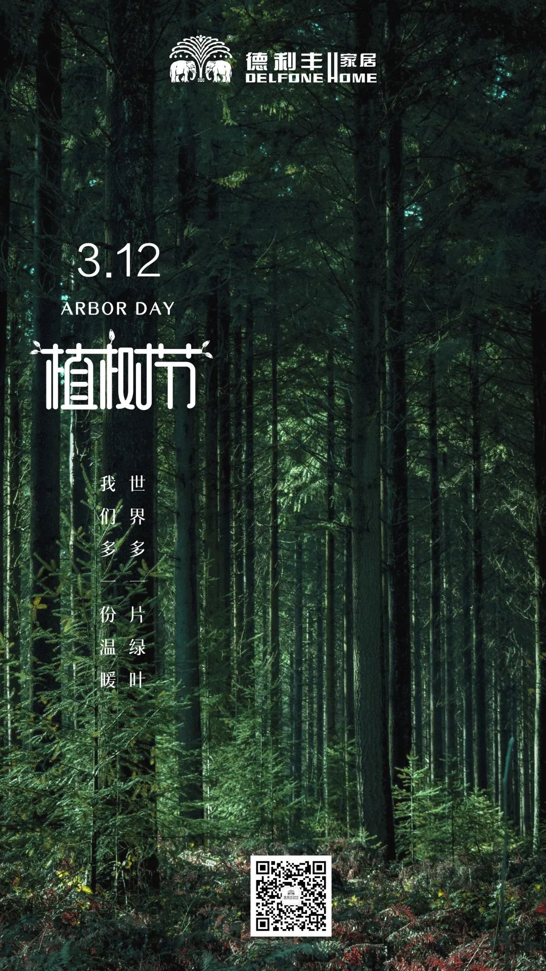 【3.12植樹(shù)節(jié)】|| 木紋系列——把自然氣息帶回家(圖2)