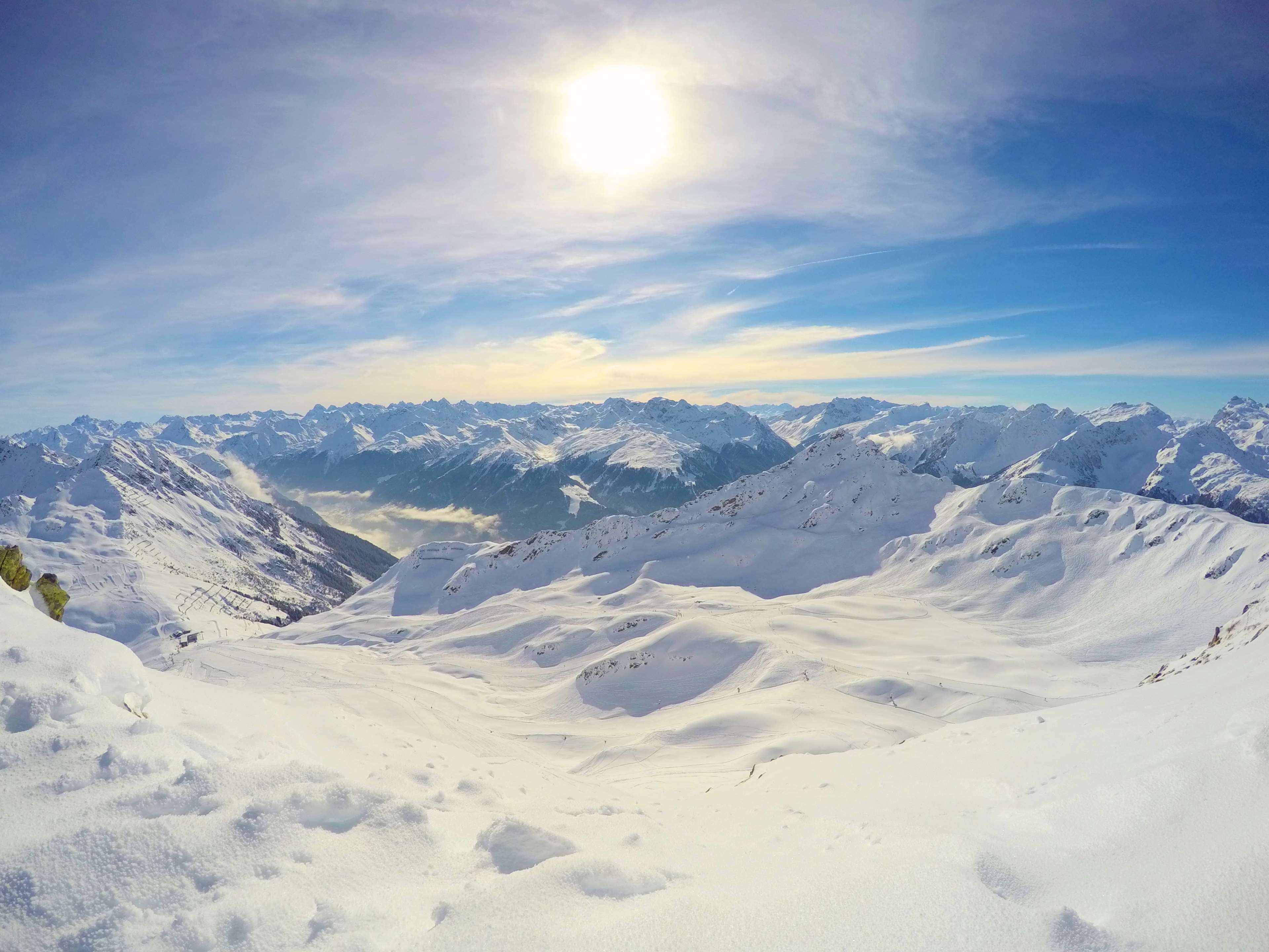 DELFONE新品 | 細(xì)線白，無(wú)暇中展現(xiàn)家居的生機(jī)盎然(圖1)