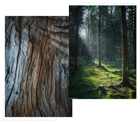 DELFONE奢木系列新品 | 意大利黑胡桃，歷久彌新的溫潤(rùn)典雅(圖6)