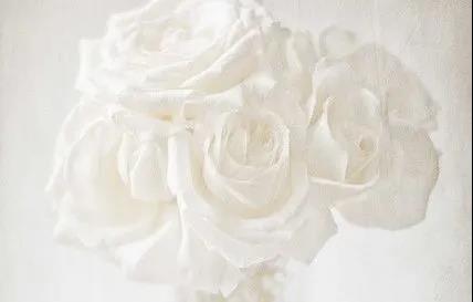 極光白全新升級｜多種工藝多個(gè)規(guī)格，釋放質(zhì)感張力！(圖3)