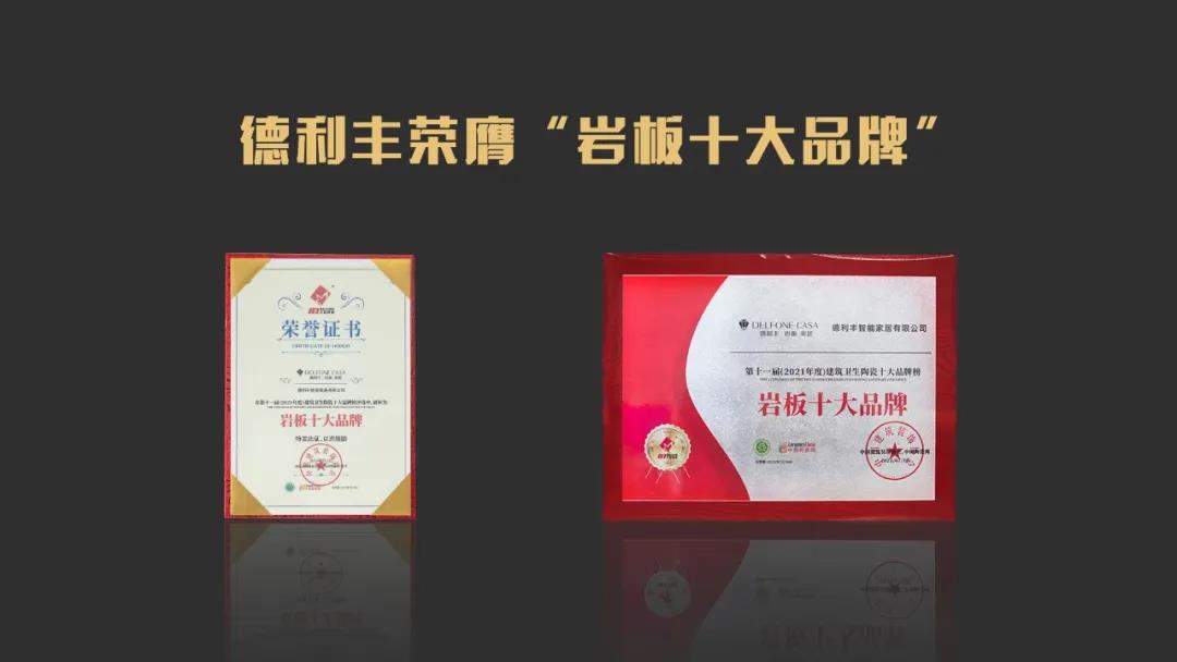 榮譽加冕 | 德利豐斬獲“巖板十大品牌”(圖3)