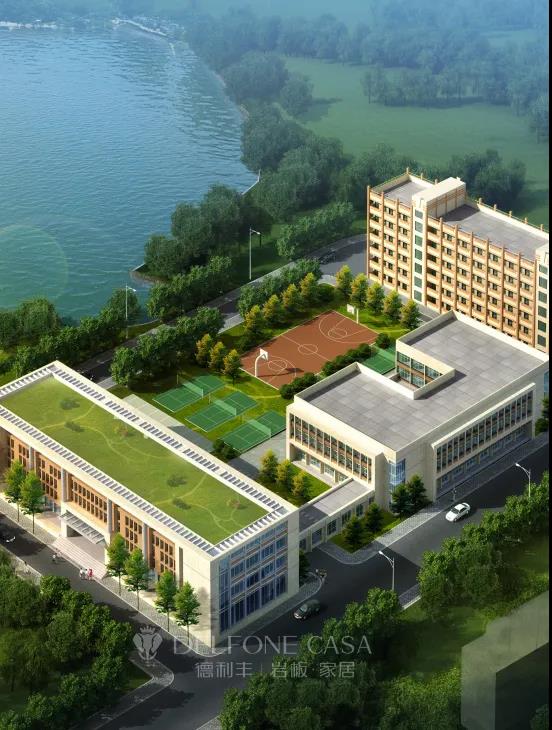 榮譽加冕 | 德利豐斬獲“巖板十大品牌”(圖7)