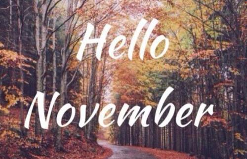 1分鐘，回顧德利豐11月大事記??！