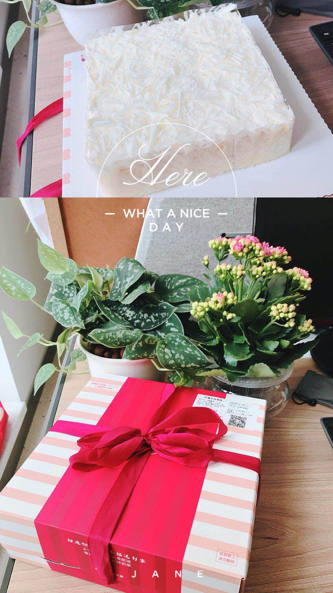 女神節(jié)|春風(fēng)桃花十里，不如美麗的你(圖14)