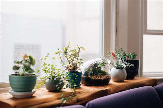 80、90后，別再將就生活啦！(圖7)