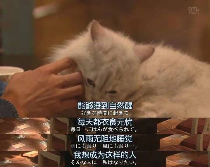 80、90后，別再將就生活啦！(圖12)