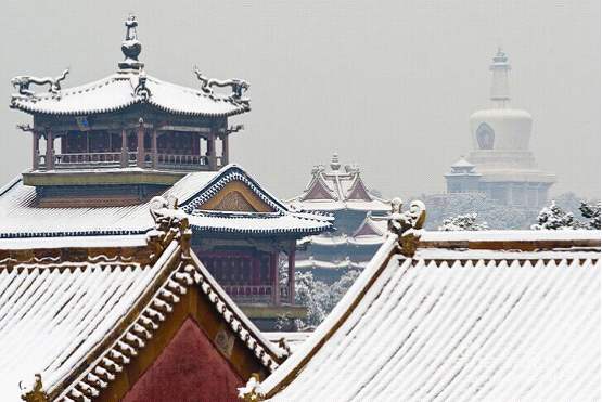 新品品鑒｜東方傲雪 以雪為墨，繪就一抹遺世獨(dú)(圖5)