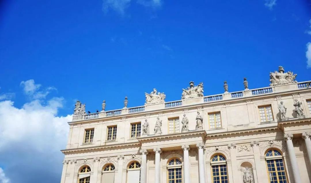 魚(yú)肚金為什么名貴？揭秘產(chǎn)品背后的故事(圖3)