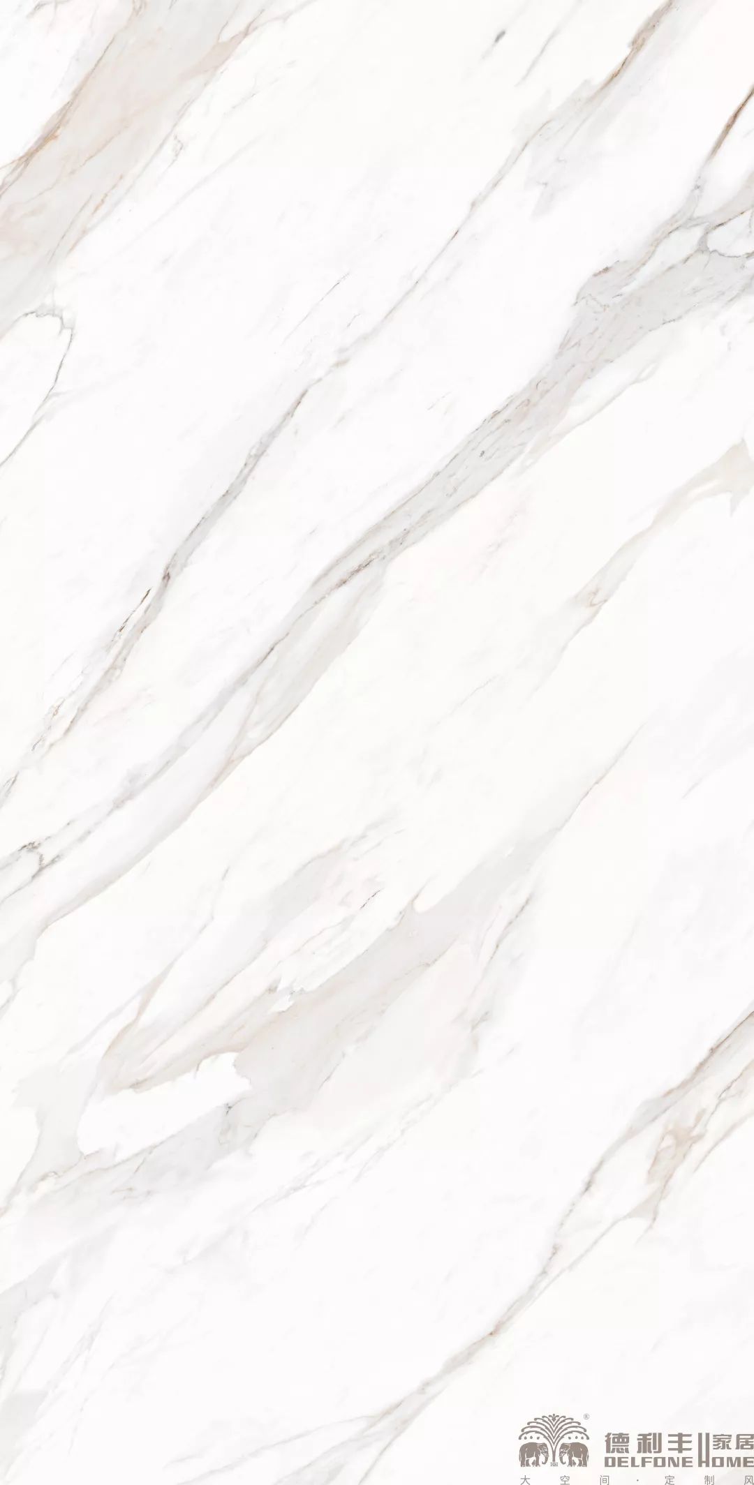 魚(yú)肚金為什么名貴？揭秘產(chǎn)品背后的故事(圖6)