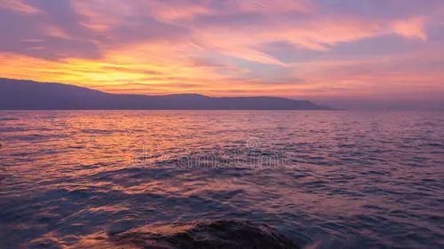 魚(yú)肚金為什么名貴？揭秘產(chǎn)品背后的故事(圖7)