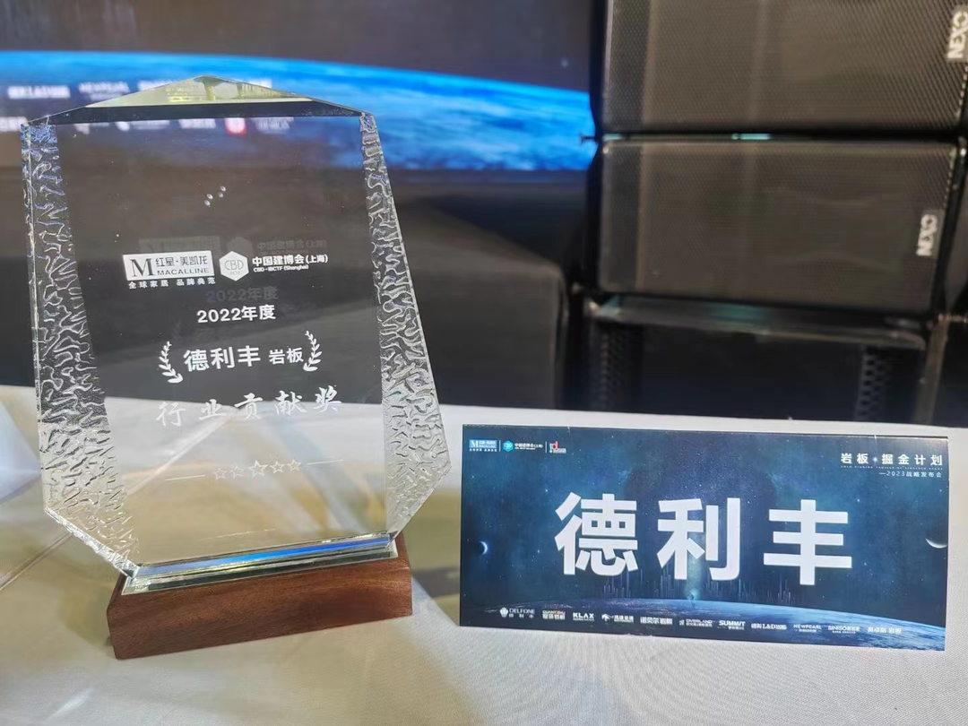 2023年中國建博會(上海)| 德利豐榮獲2022年度行業(yè)貢獻獎(圖5) 圖片